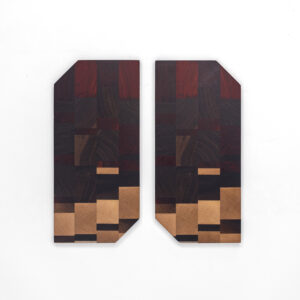 serveerplllank #17 • IGNIS